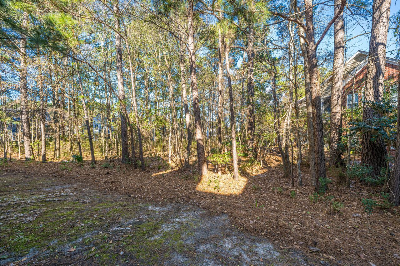 1476 Belcourt Lane Photo 25