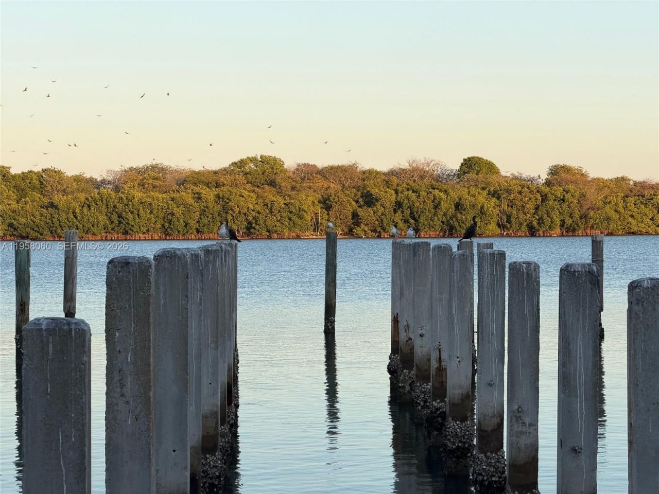 700 NE 63rd St, Unit D609, Miami, FL 33138 Photo