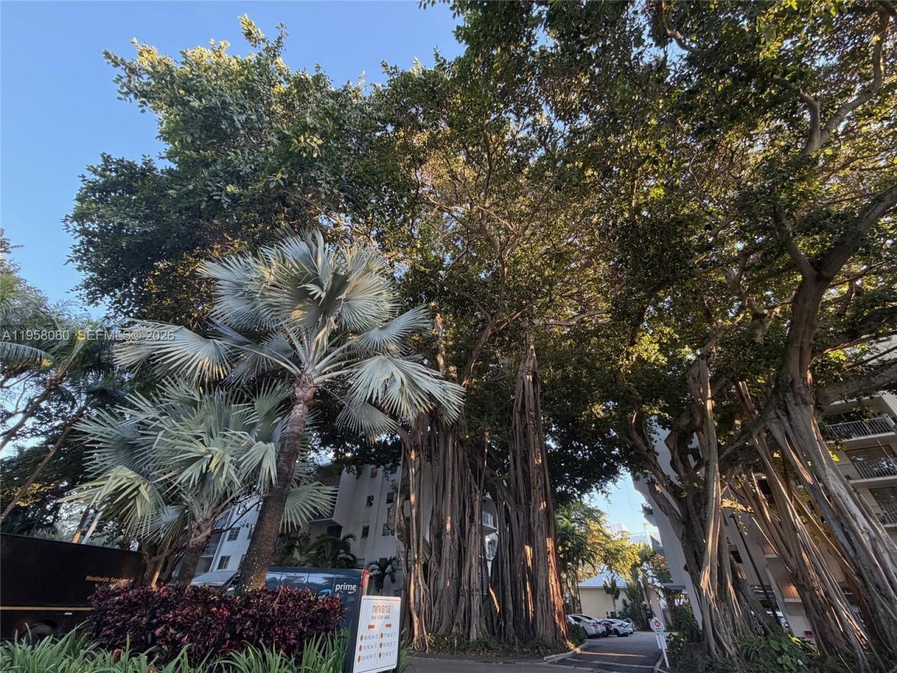 700 NE 63rd St, Unit D609, Miami, FL 33138 Photo