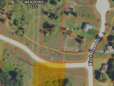 0000 Birch Meadows Lane, Handy Twp, MI 48836