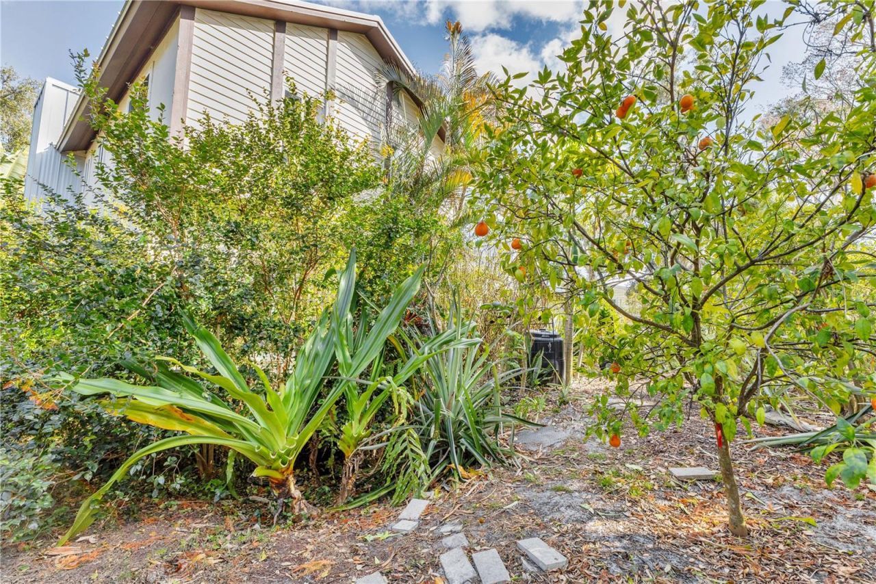 1035 Sirus Trail, Sarasota, FL 34232 Photo