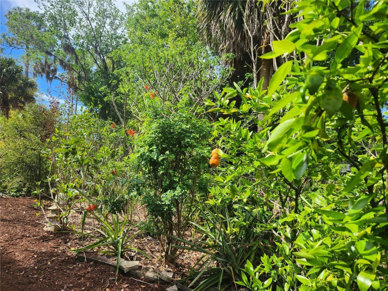 1035 Sirus Trail, Sarasota, FL 34232 Photo