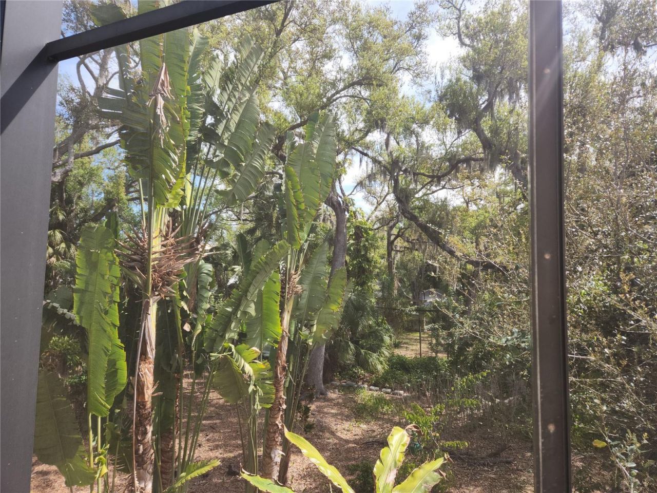 1035 Sirus Trail, Sarasota, FL 34232 Photo