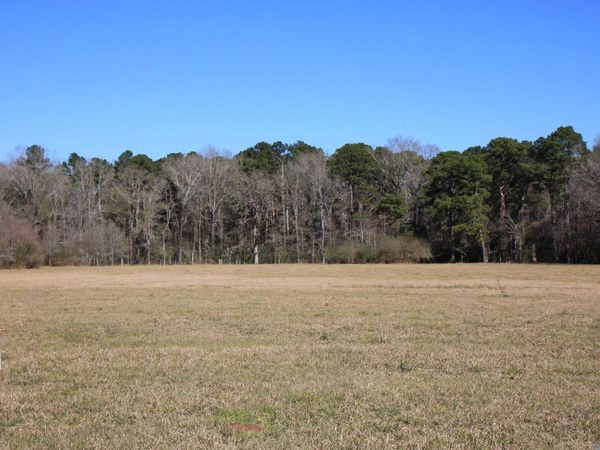 TBD Lot 5 La Hwy 958, Slaughter, LA 70777