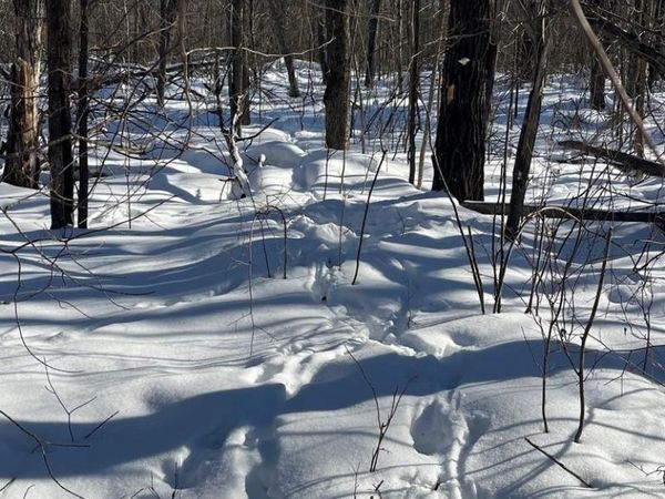 REPPERT ROAD, Exeland, WI 54835