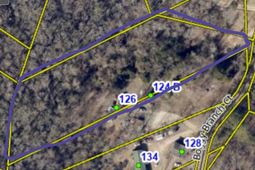 124 Boggy Branch Ct.  photo 4