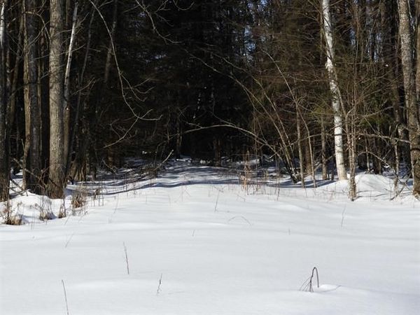 N8357 Down River Rd, Phillips, WI 54555