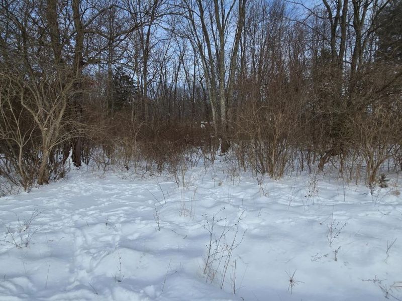 6692 Bray Road, Goshen, OH 45122 Photo 3