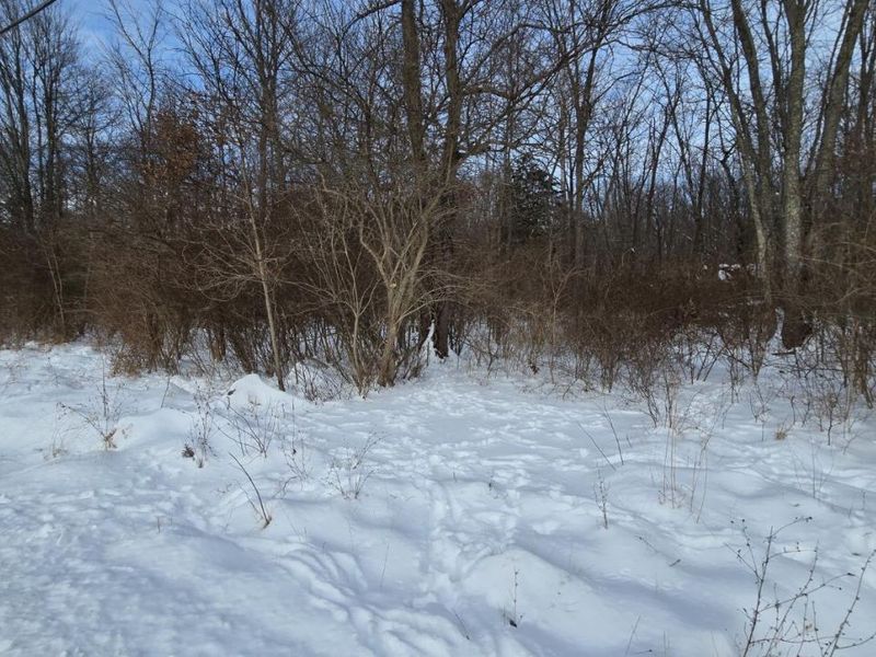 6692 Bray Road, Goshen, OH 45122 Photo 4