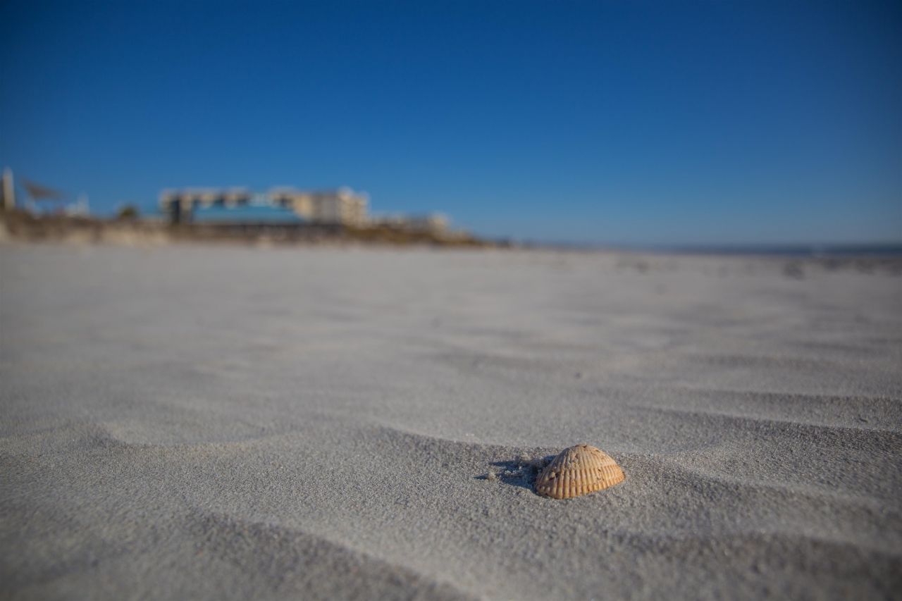 513 Huntington Lake Circle Photo 70