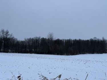 00 Thom Road , Oregon Twp, MI 48721