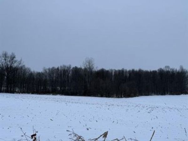 00 Thom Road , Oregon Twp, MI 48721