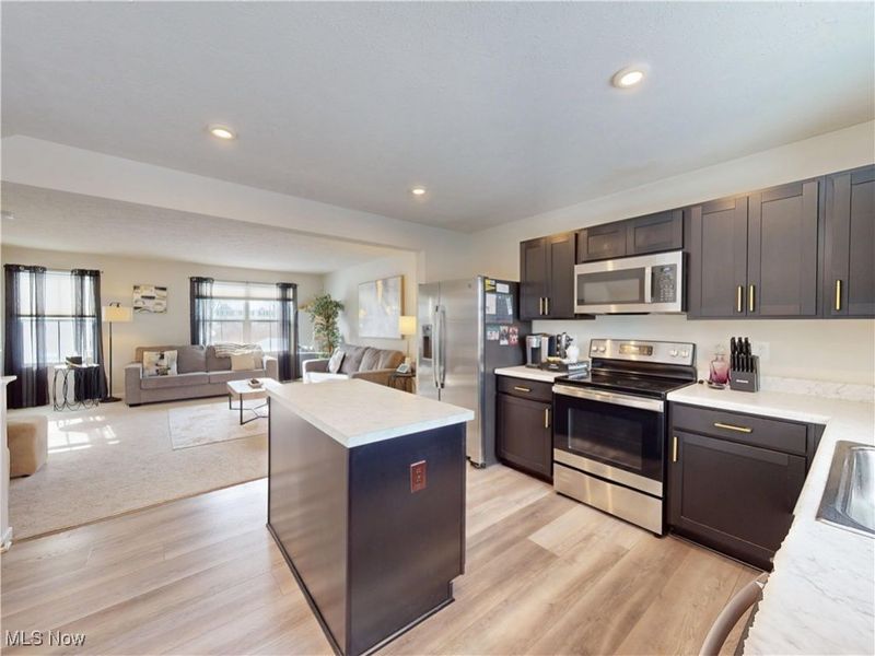 780 Pine Spring Drive, Painesville, OH 44077 Photo 2