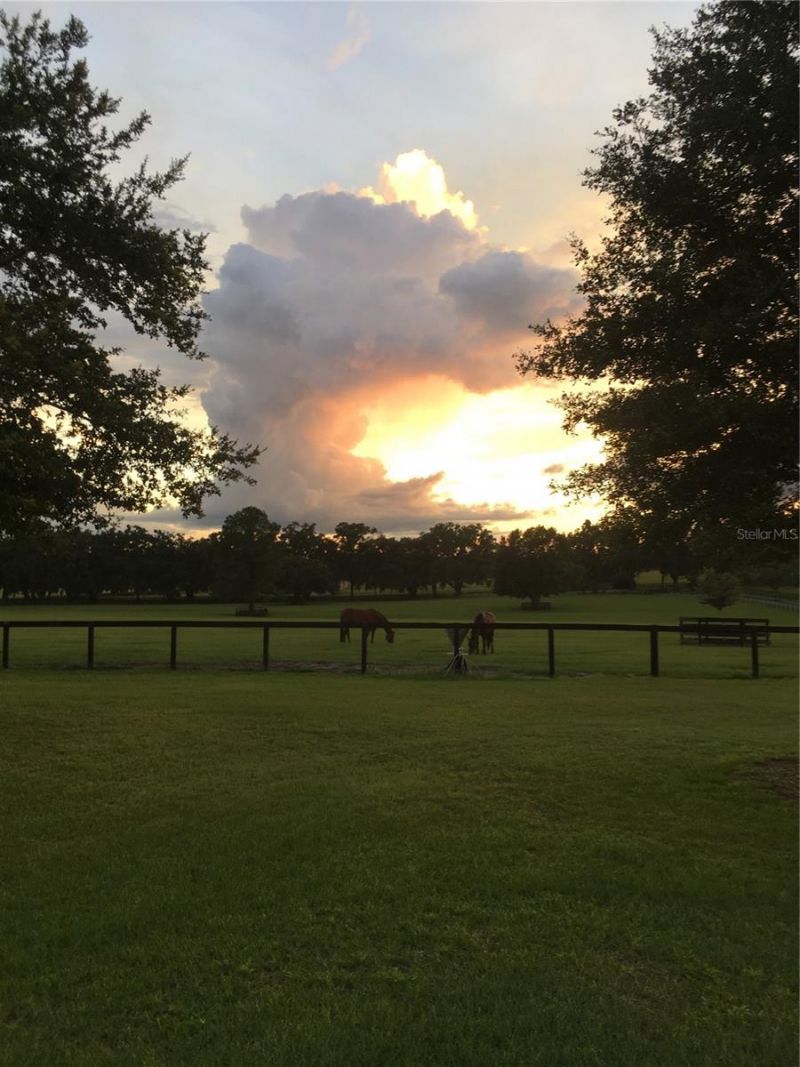 9549 NW 80th Avenue, Ocala, FL 34482 Photo