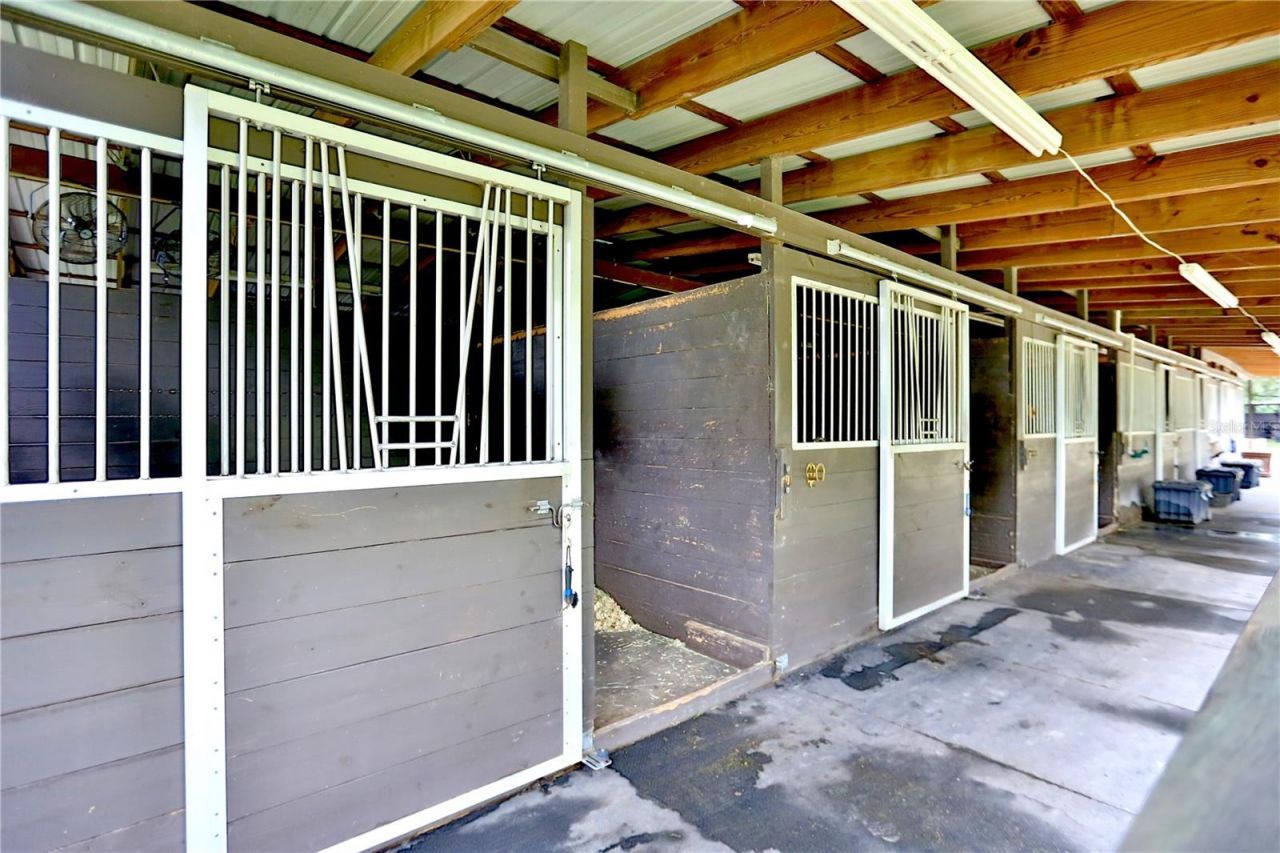 21930 & 21890 NE Hwy 27, Williston, FL 32696 Photo