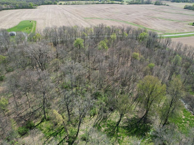5.628 Acres County Road 28, West Liberty, OH 43357 Photo 3