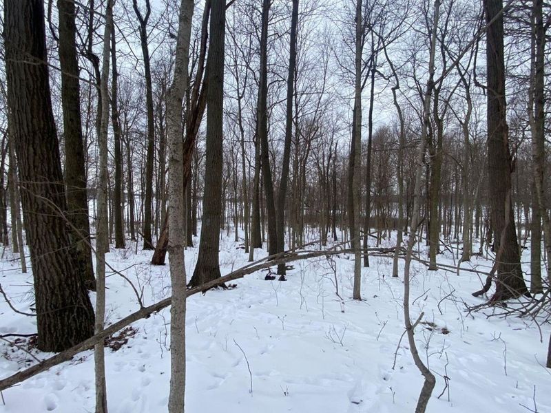 5.628 Acres County Road 28 , West Liberty, OH 43357 Photo 5