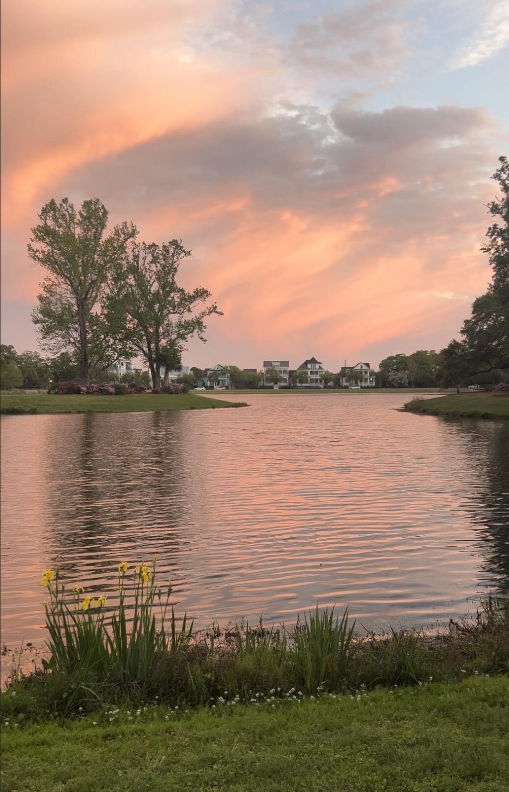 1422 Hooper Street Photo 33