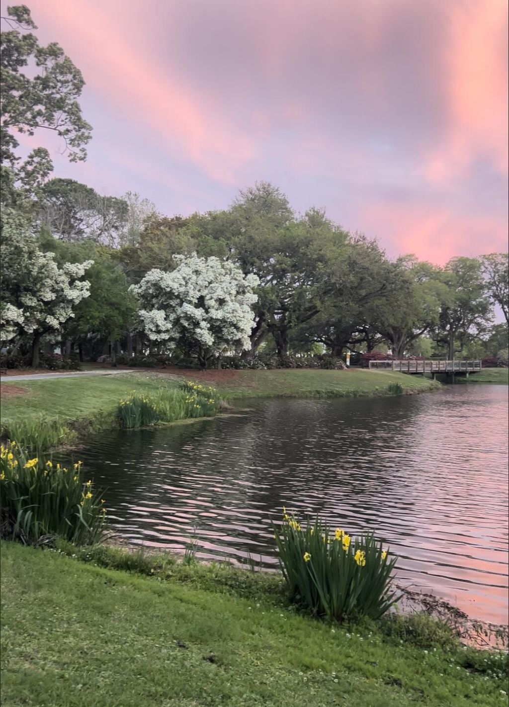 1422 Hooper Street Photo 34