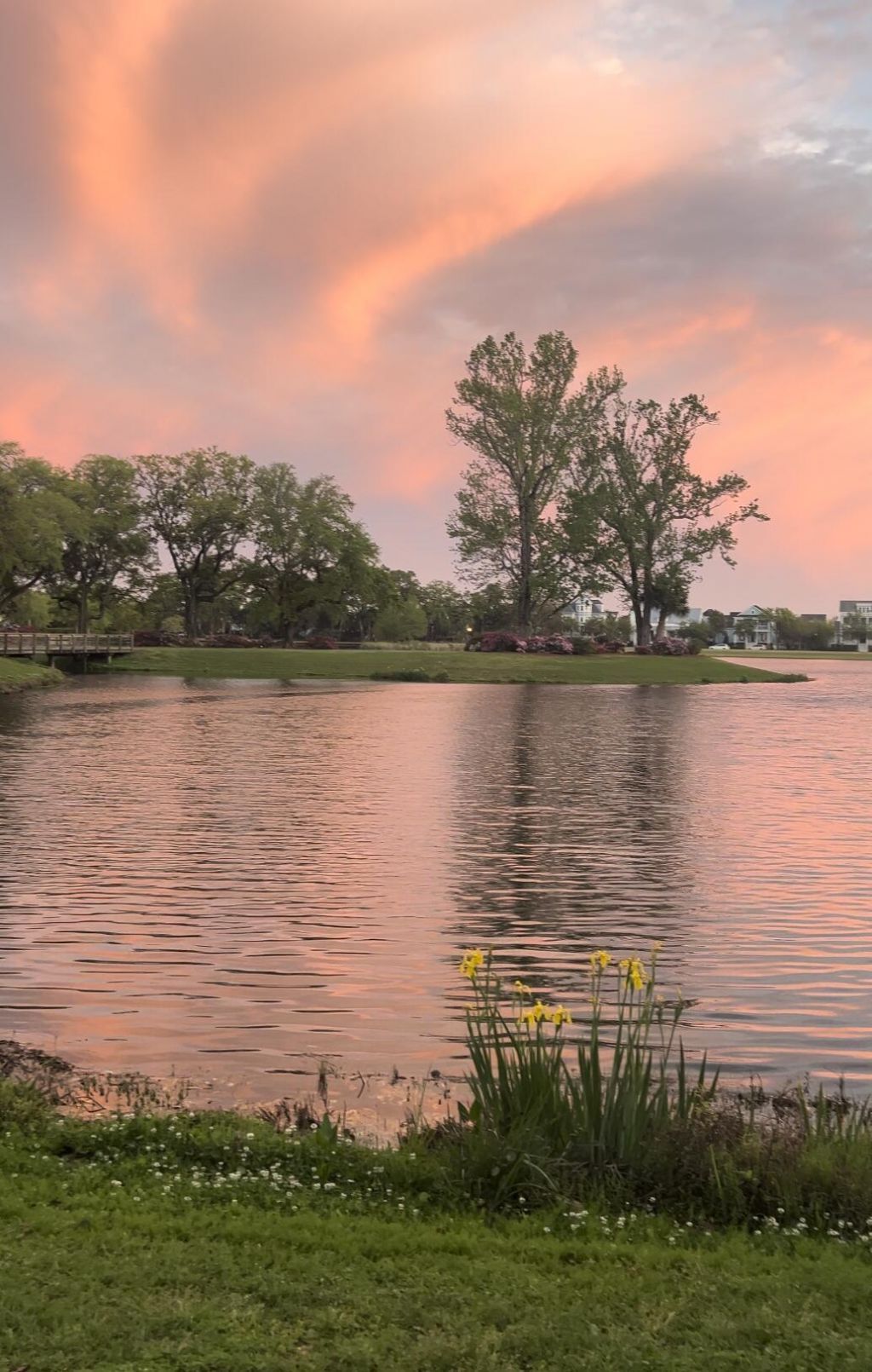 1422 Hooper Street Photo 35