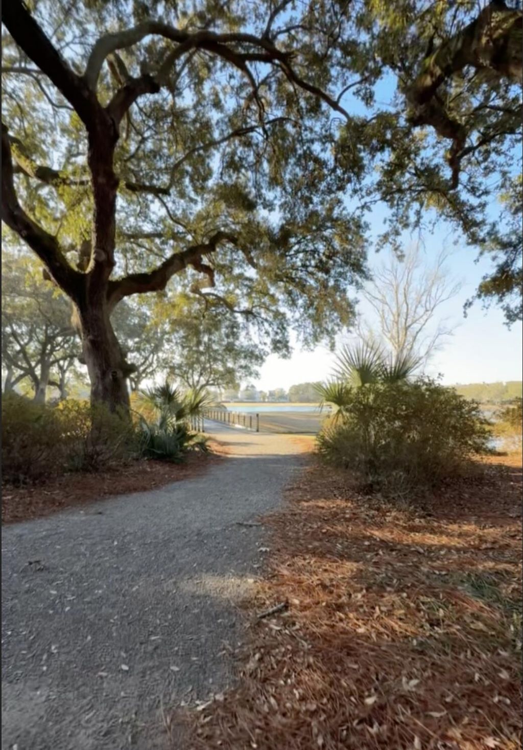 1422 Hooper Street Photo 36