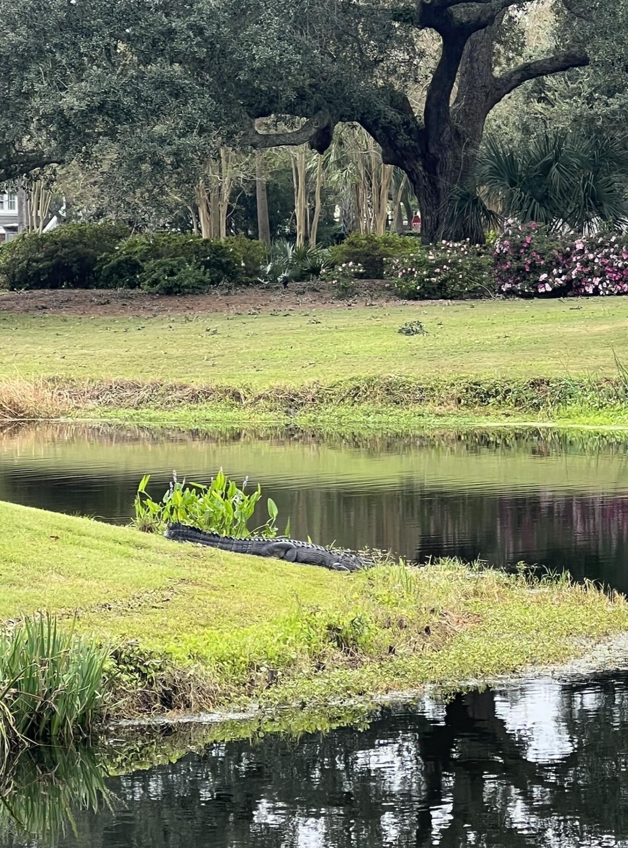 1422 Hooper Street Photo 38