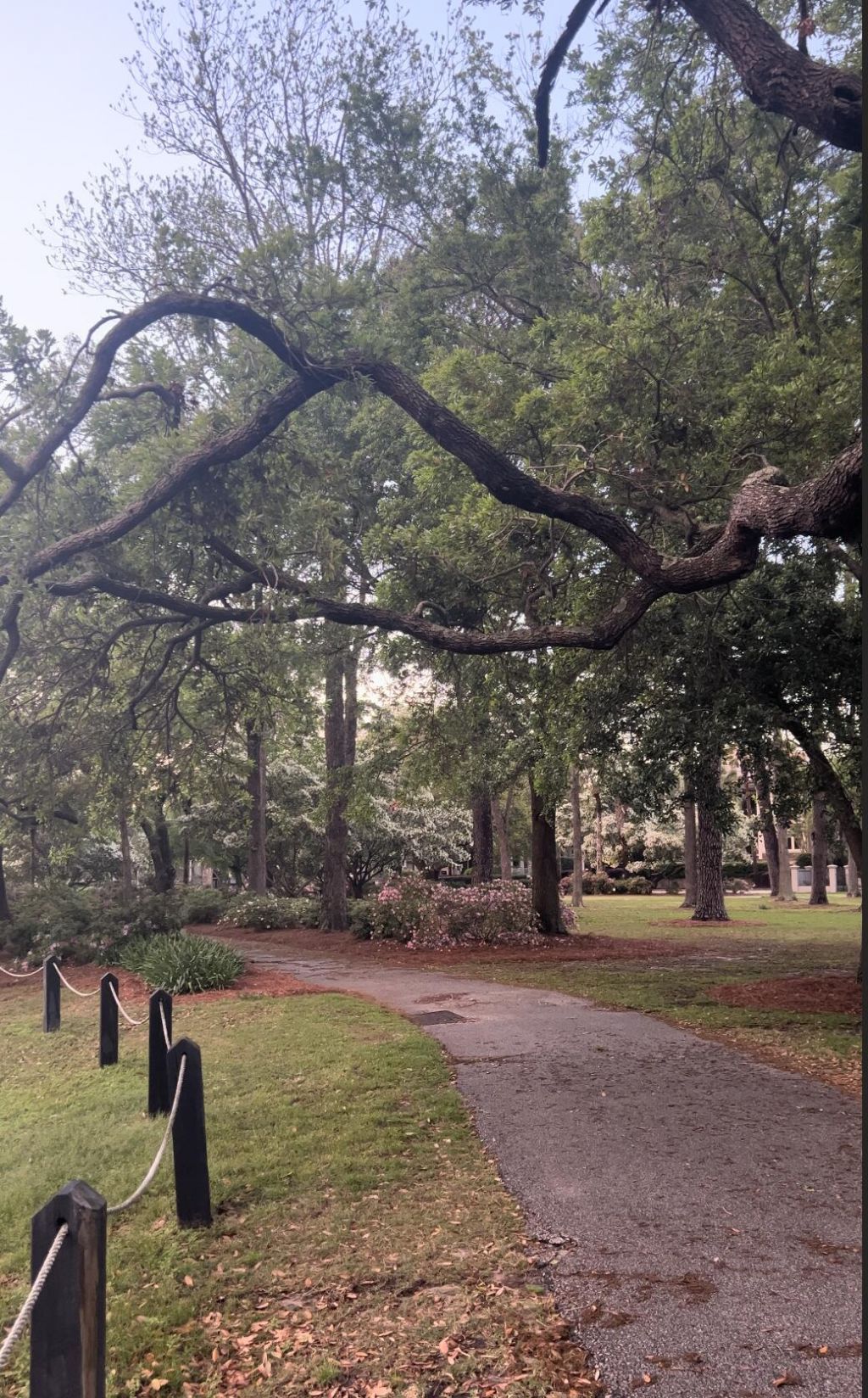 1422 Hooper Street Photo 40