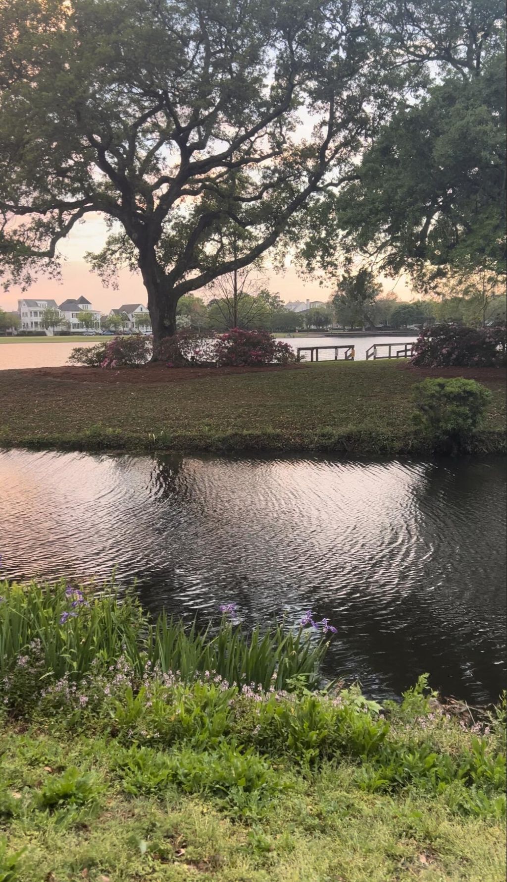 1422 Hooper Street Photo 41