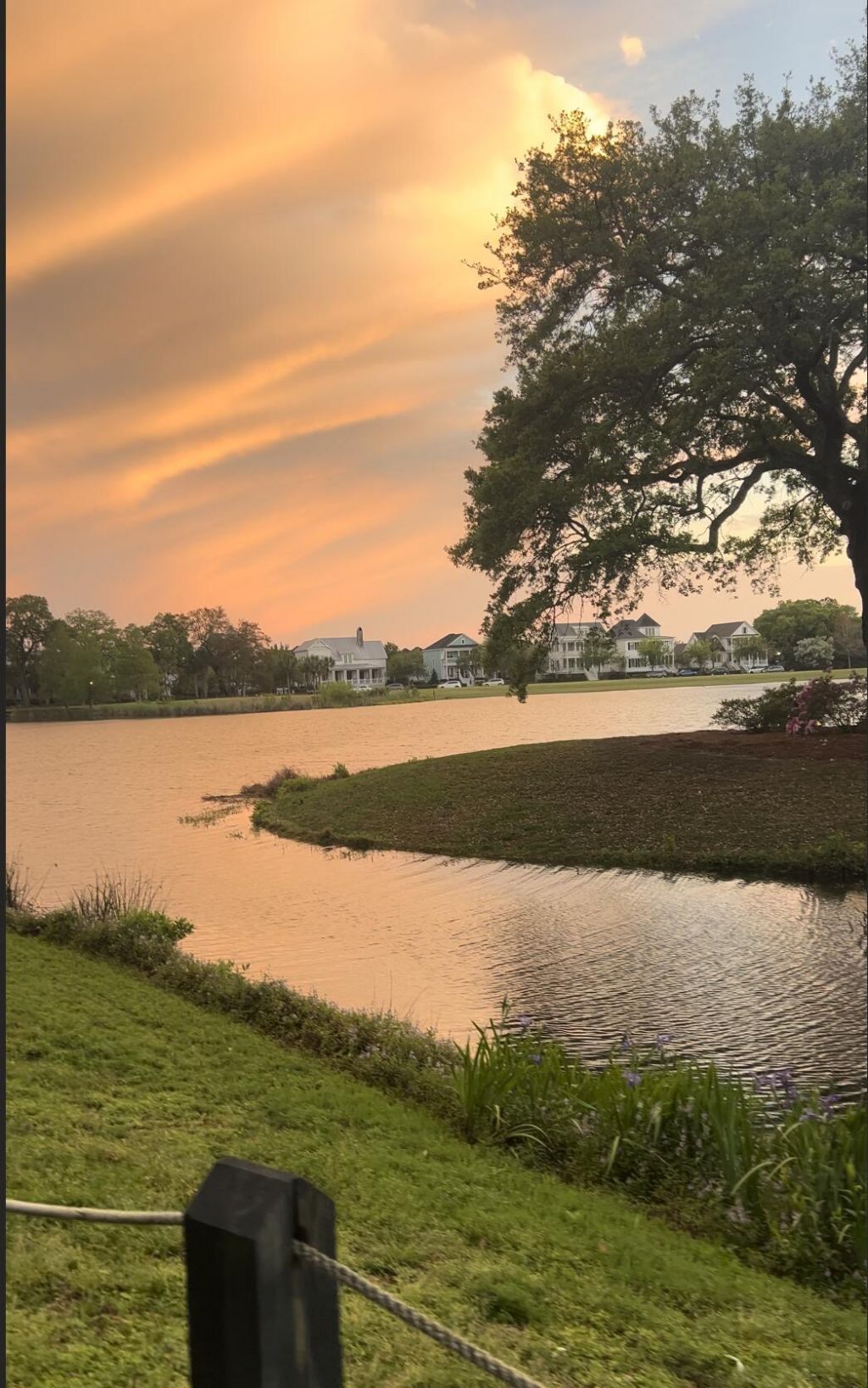 1422 Hooper Street Photo 42