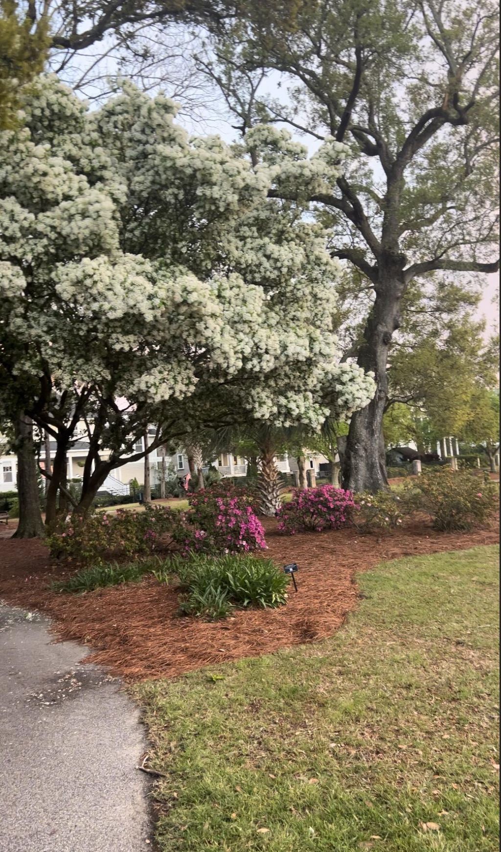 1422 Hooper Street Photo 43