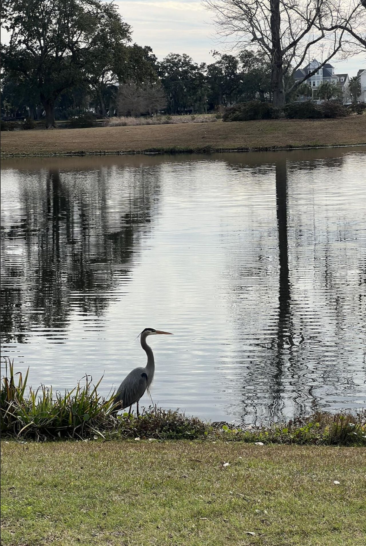 1422 Hooper Street Photo 44