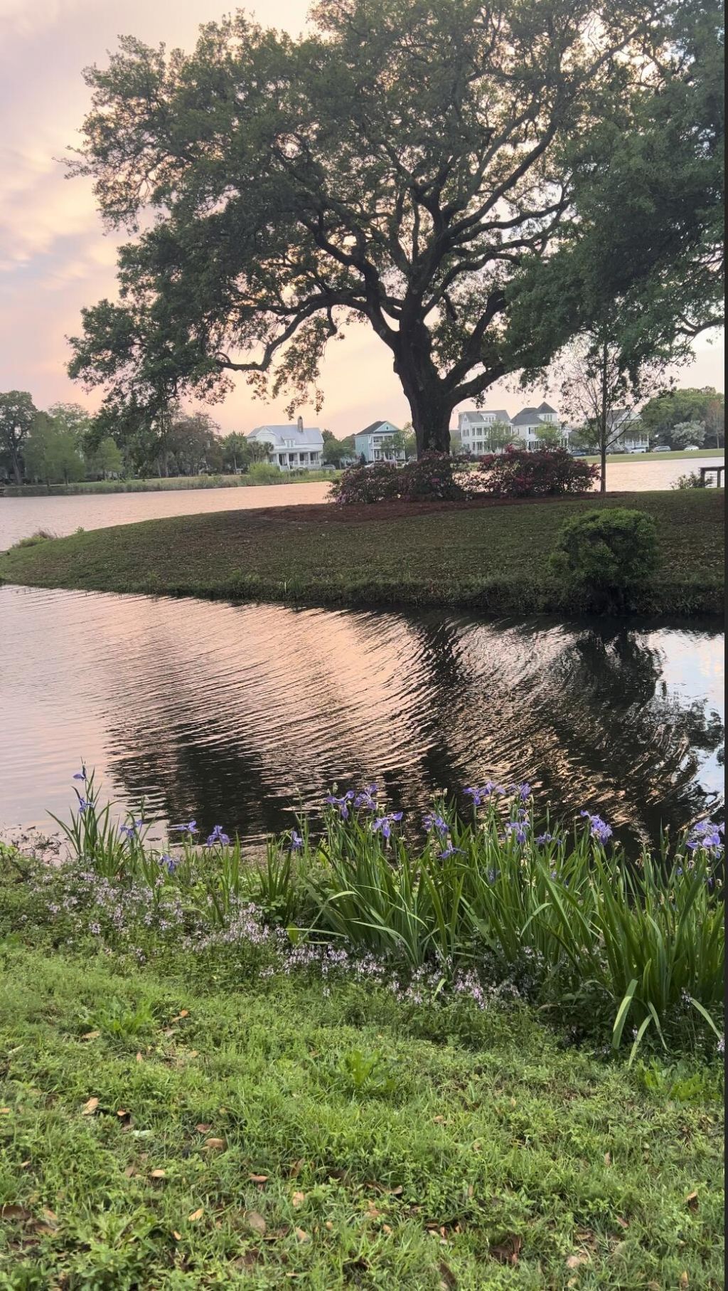 1422 Hooper Street Photo 45