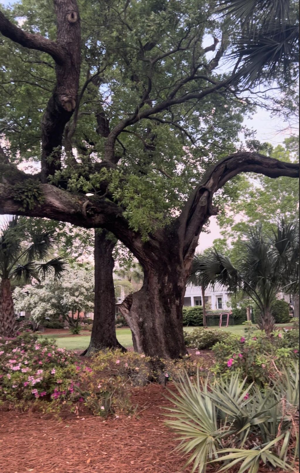 1422 Hooper Street Photo 46