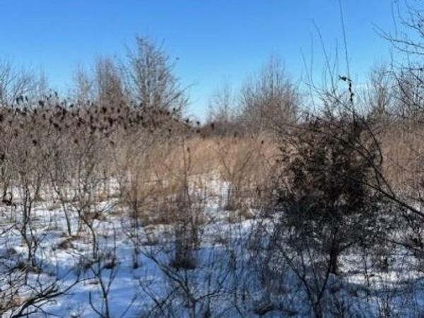 Lot 6 Parkview Farms, Blackwell, MO 63626