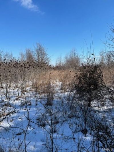 Lot 7 Parkview Farms, Blackwell, MO 63626 Main Photo