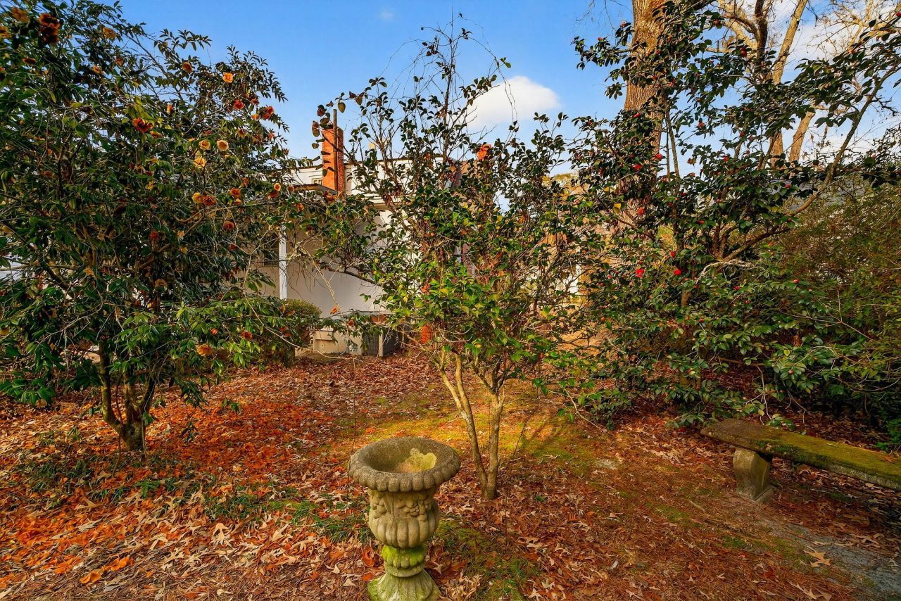 704 Carn Street Photo 32