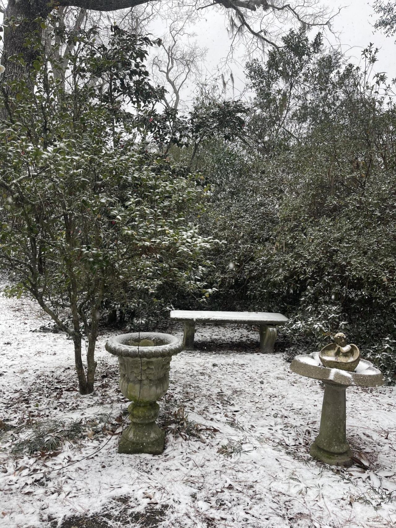 704 Carn Street Photo 33