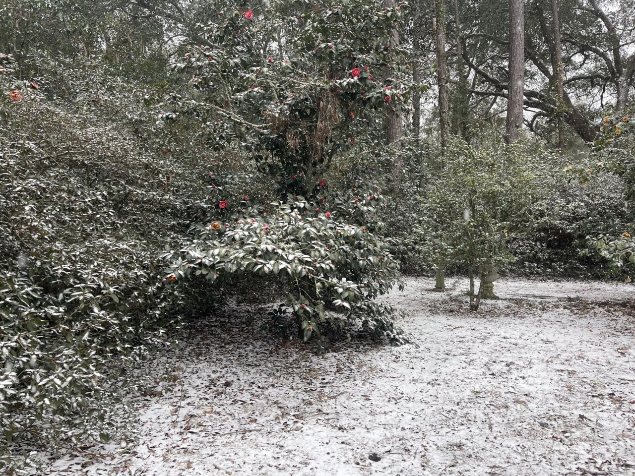 704 Carn Street Photo 34