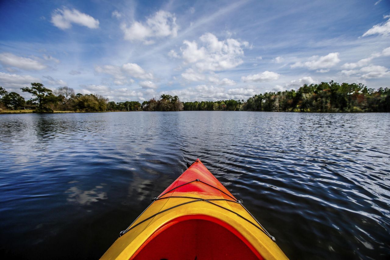 1032 Patagonia Street Photo 17