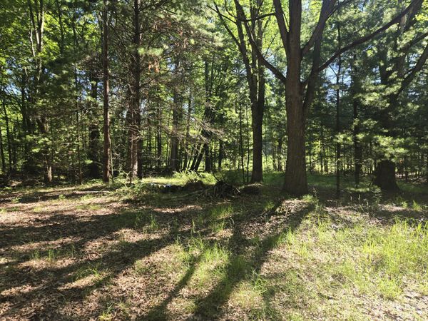 704 N Morris Street, Pentwater, MI 49449
