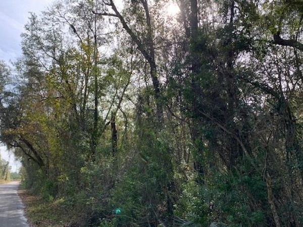 SE RED CASON DRIVE "J", LuLu, FL 32061