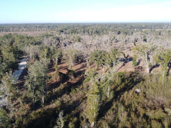 897 SW COOK STREET (100 AC), Fort White, FL 32038