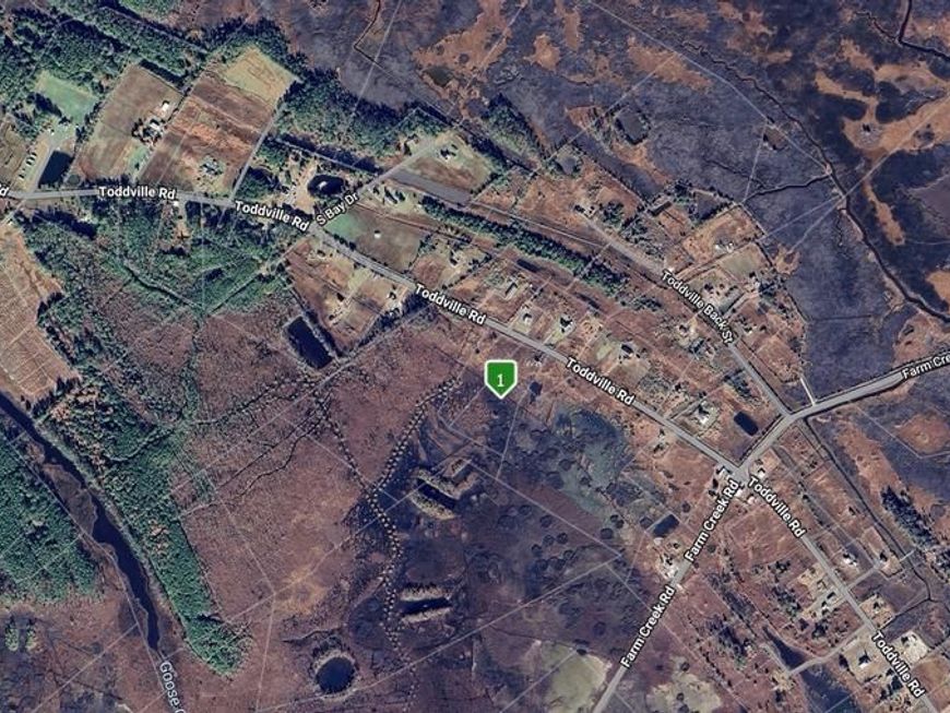 2625 Toddville Road, Toddville, MD 21672 Main Photo