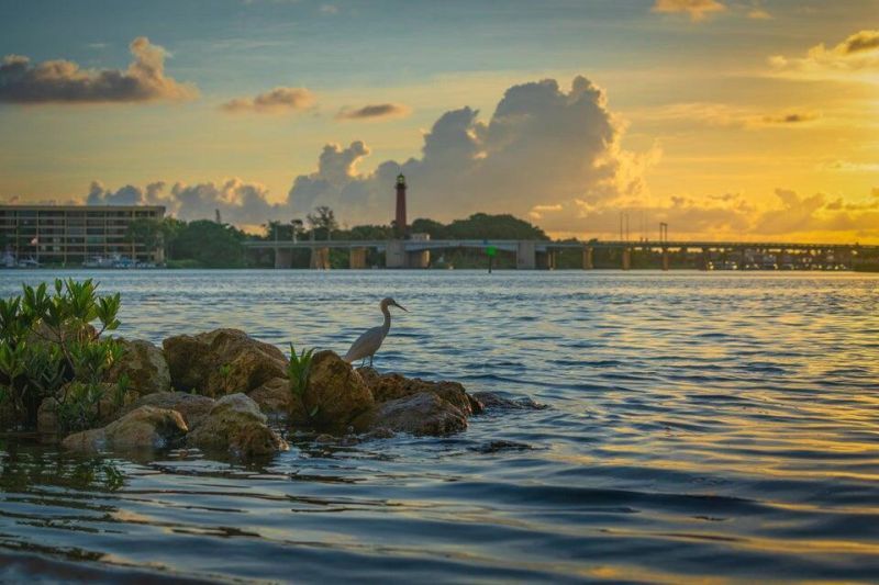 8125 Hobbes Way, Palm Beach Gardens, FL 33418 Photo