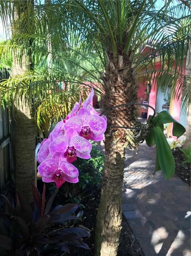 1334 NE 16th Avenue, Fort Lauderdale, FL 33304 Photo