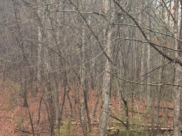 18 Bacham Court, Crossville, TN 38558