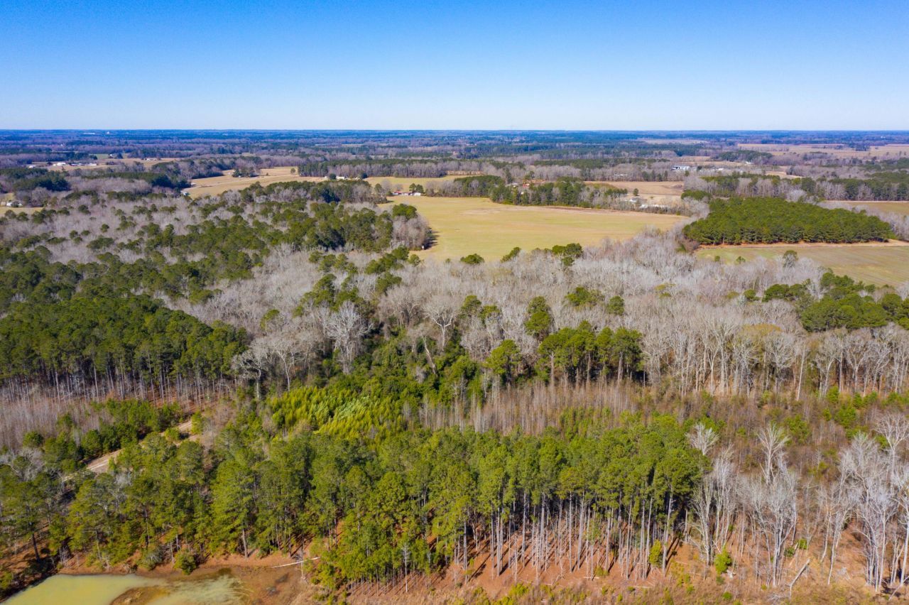 0 Altvater Road Photo 8