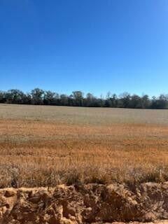 5123 Elmore Road, Marianna, FL 32446 Photo