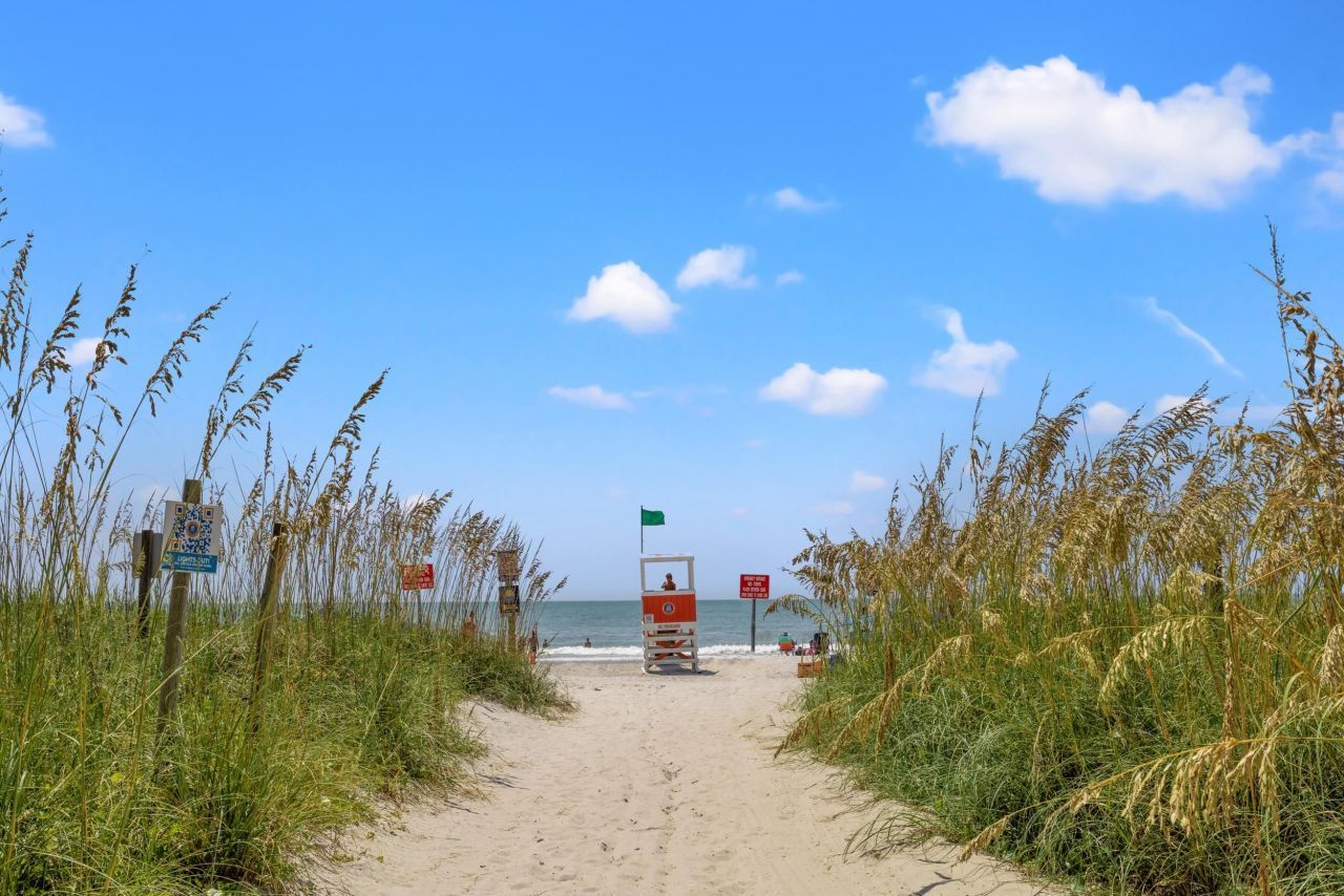 1105 Brackish Bay Rd Photo 7