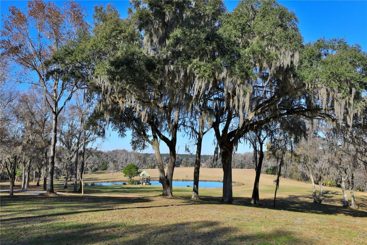 15551 NW Highway 225, Reddick, FL 32686 Photo